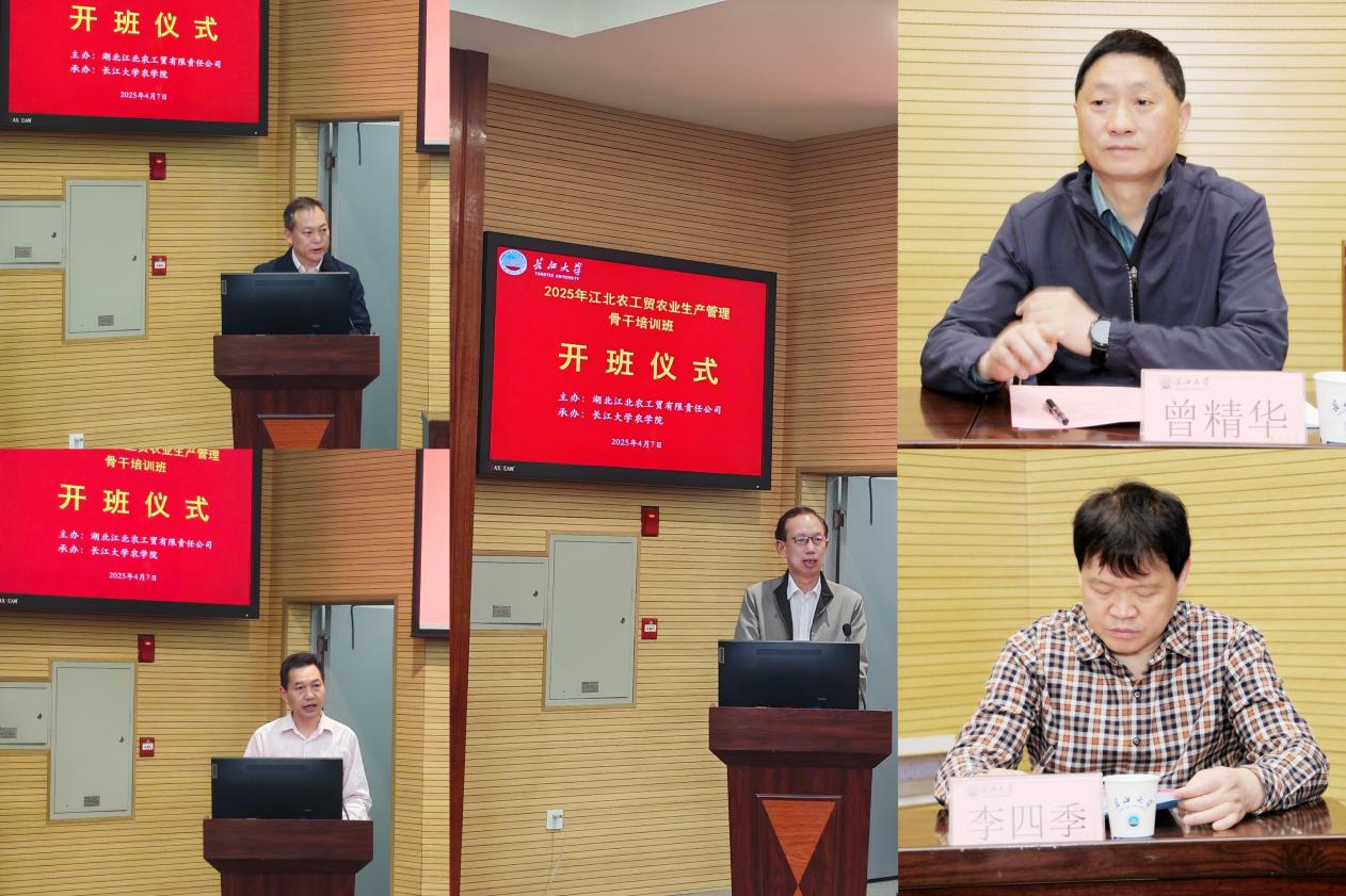 df206d2846daac34c4b4de8850560d6